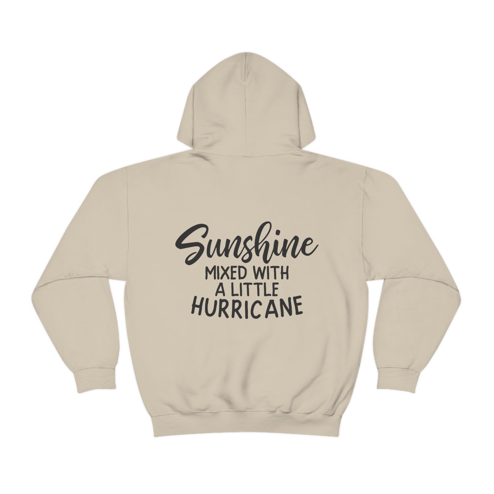 Sunshine with a hurricane hoodie - Sarcasm Swag