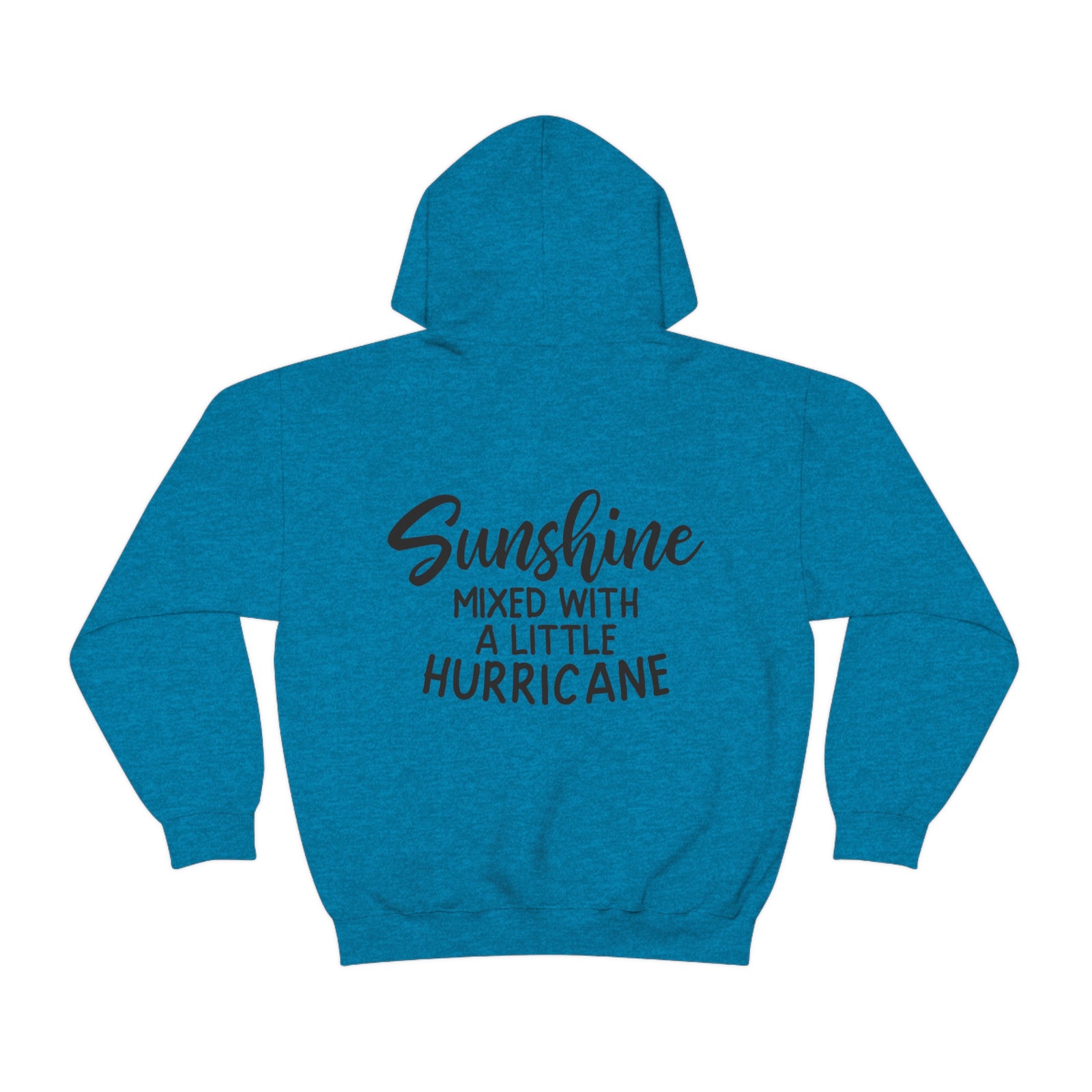 Sunshine with a hurricane hoodie - Sarcasm Swag